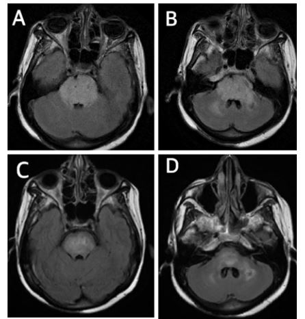 figure1