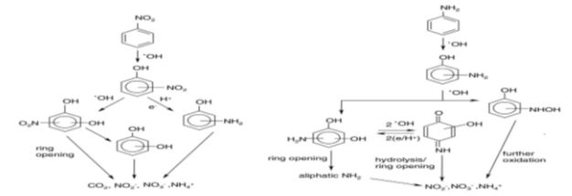 figure4